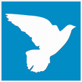 India Newspapers - NewsPura