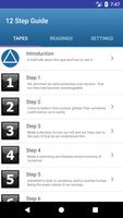 12 Step Guide - AA Cartaz