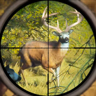 जंगली शिकारी : शिकार करना खेल आइकन