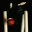 Cricket Match Fixtures APK