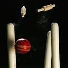 Cricket Match Fixtures icône