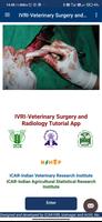 Veterinary Surgery & Radiology Affiche