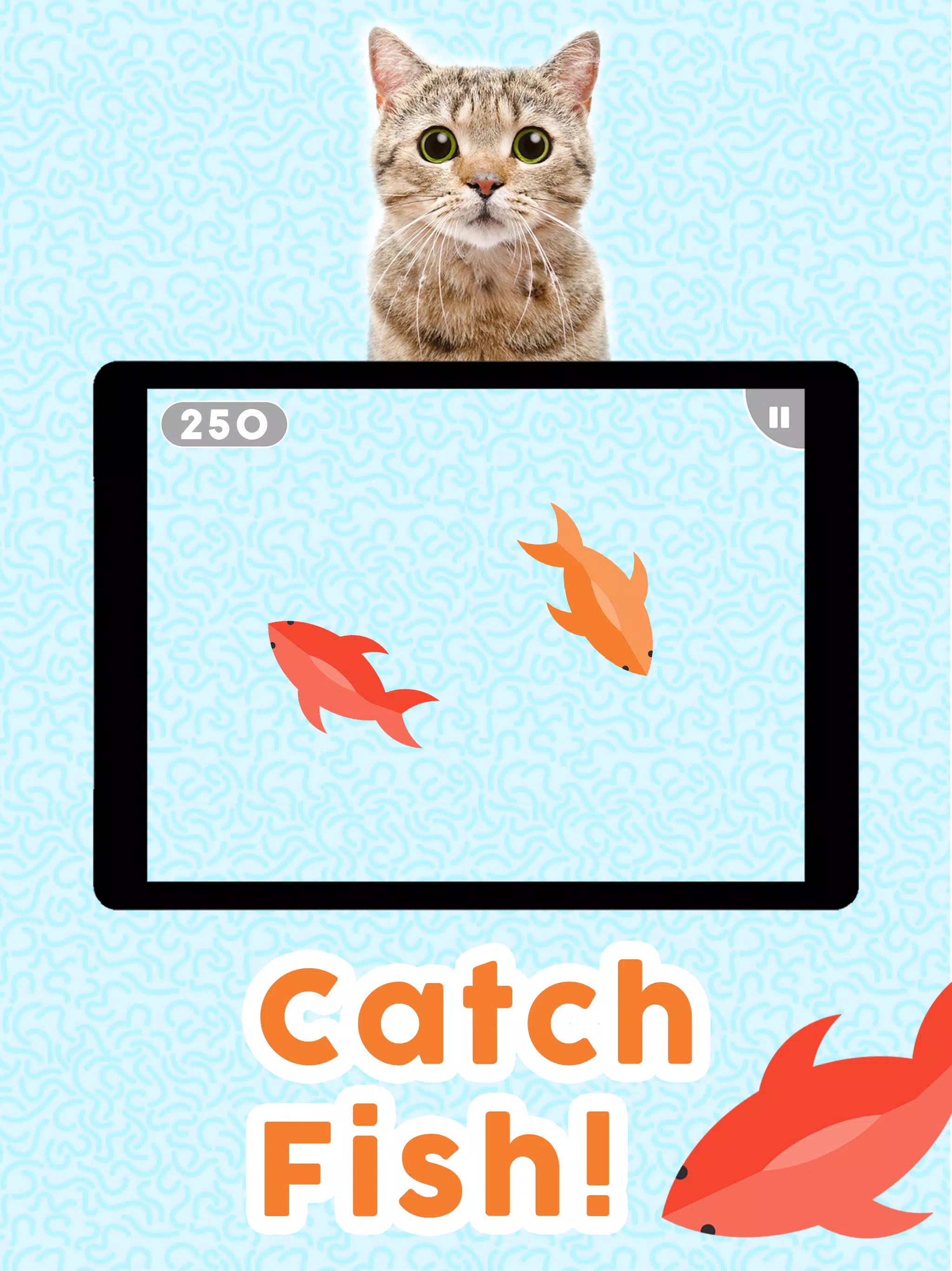 Cat Game The Cats Collector - Download thid Pet Simulation Game