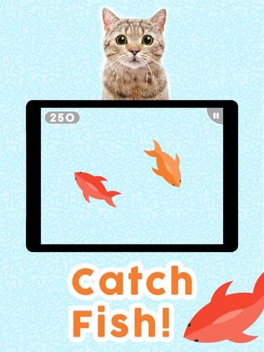 Games For Cats Cat Fishing Mouse Chase Cat Game For Android