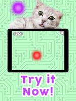 Trò chơi cho mèo ảnh chụp màn hình 3