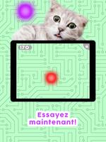 Jeux pour chats! capture d'écran 3