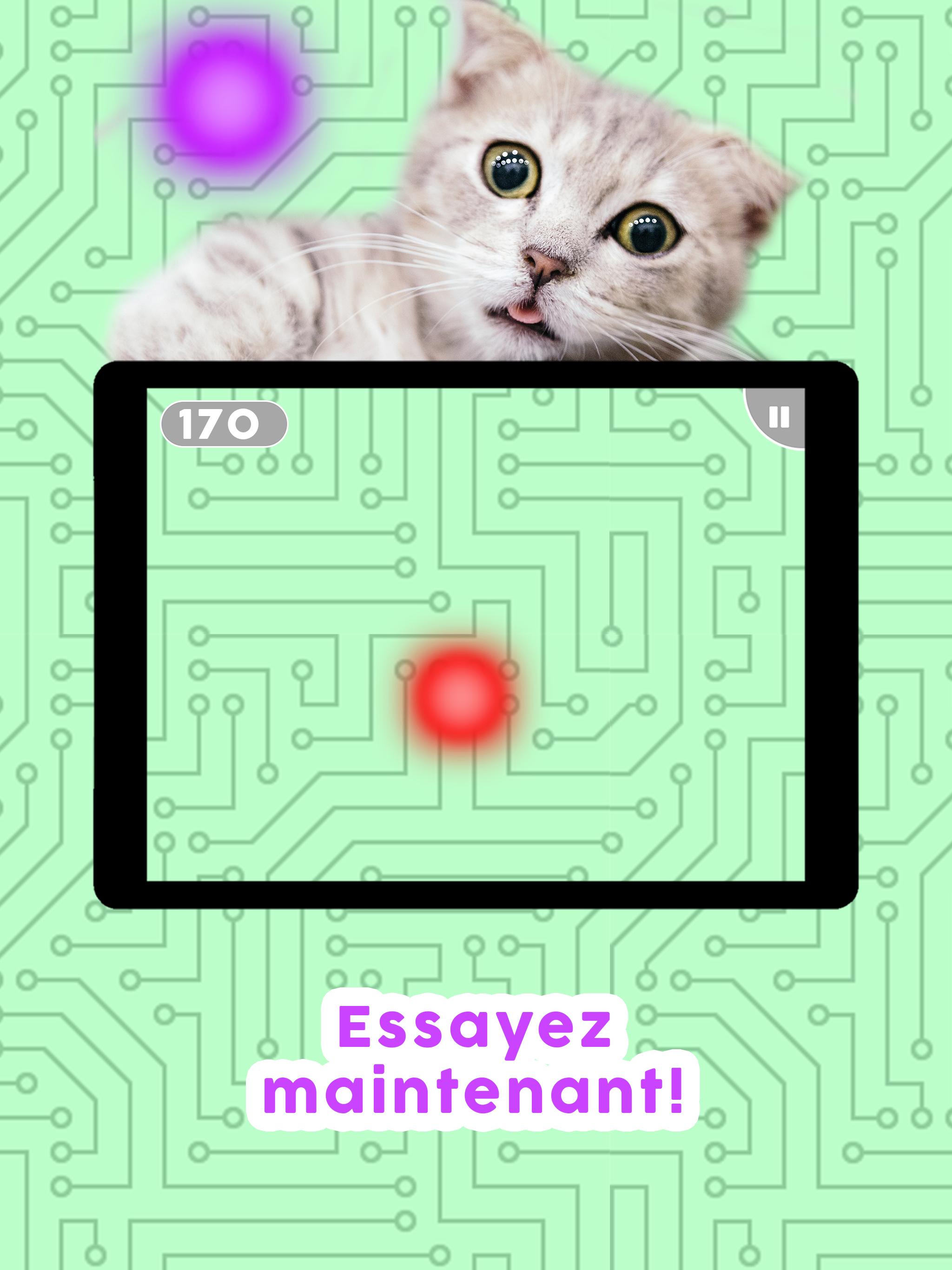 Jeux pour chats! - Jeu de pêche souris chat chasse pour Android -  Téléchargez l'APK