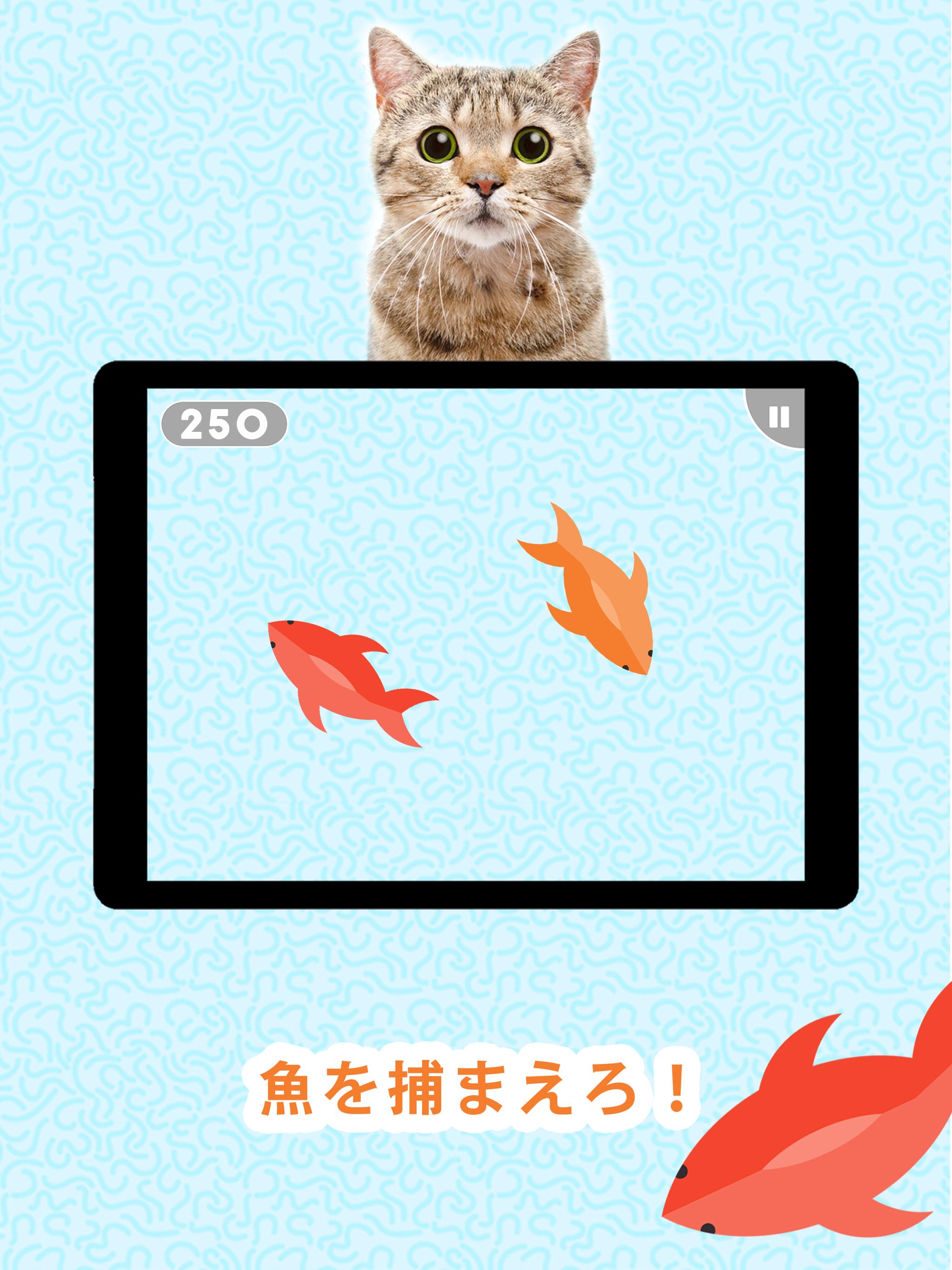 Android 用の 猫のためのゲーム 猫釣りマウスチェイス猫ゲーム Games For Cats Apk をダウンロード