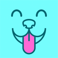 ”Games for Dogs