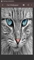 Cat Wallpaper تصوير الشاشة 1