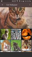 Cat Wallpaper تصوير الشاشة 2