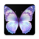 Butterfly Wallpaper APK