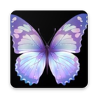 Butterfly Wallpaper icône