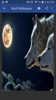 Wolf Hd Wallpaper syot layar 2