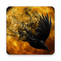 Raven Wallpaper HD