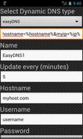 Dynamic DNS Update screenshot 1