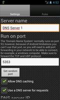 DNS Server captura de pantalla 1