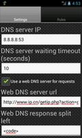 DNS Server captura de pantalla 2