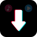 Video Downloader for TT