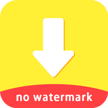 Video Downloader for Zili