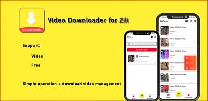 Video Downloader for Zili Affiche