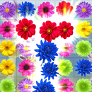 Flower Blast: Garden Blossom APK