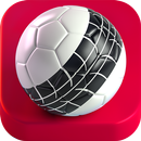 SOCCER RALLY APK