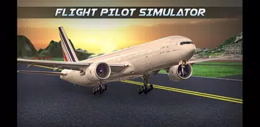 FLIGHT PILOT SIMULATOR