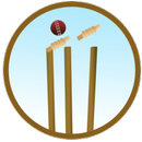 APK Cricket 2015