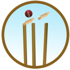 Cricket 2015 icône
