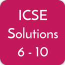 All ICSE Solutions APK