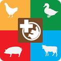 ICSP Farm