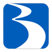 BraunAbility Remote
