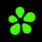 ICQ ícone