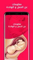معلومات عن الحمل و الولادة Cartaz