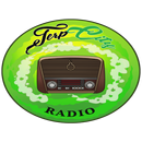 Terp City Radio APK