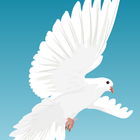 آیکون‌ VICTORY4CHRIST RADIO