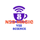 SCIENCE : CLASS VIII icône