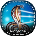 Goga Maharaj Ringtones ikona