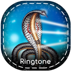 Goga Maharaj Ringtones icon