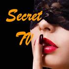 Secret TV - Retro Movie Flix آئیکن