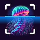 APK JellyScan - Identify Jellyfish