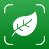 Plant Identifier - Plantium APK