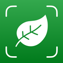Plant Identifier - Plantium APK
