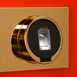 BioKey Safe Pro