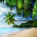 Beach Waves Sounds for Sleep