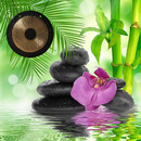 Relaxing Water Gong Sounds APK