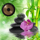Relaxing Water Gong Sounds icône
