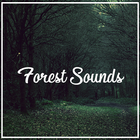 Relax Nature Forest Sounds Zeichen