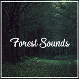 Relax Nature Forest Sounds icon